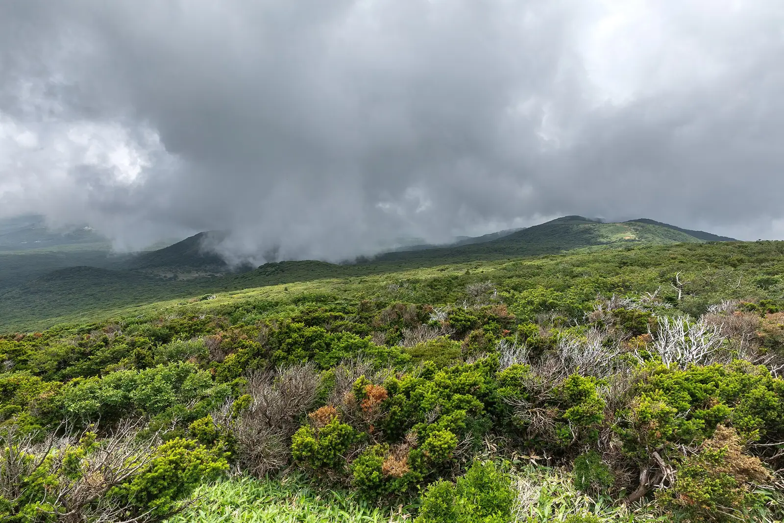 Hallasan Gwaneumsa Trail closure ends on the 30th; 2.7 km from Samgakbong to the summit expected to reopen October 1